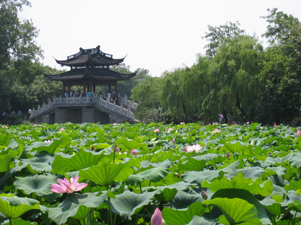 苏州-杭州-上海-周末汽车四日游