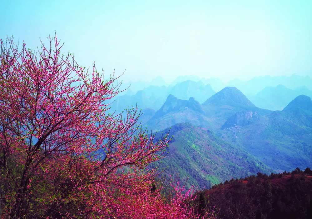 尧山-画眉谷休闲二日游