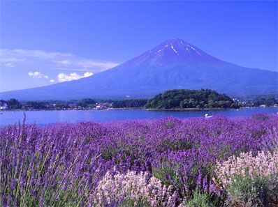 东京、富士山、大阪、传统文化之旅六日（北京起止）