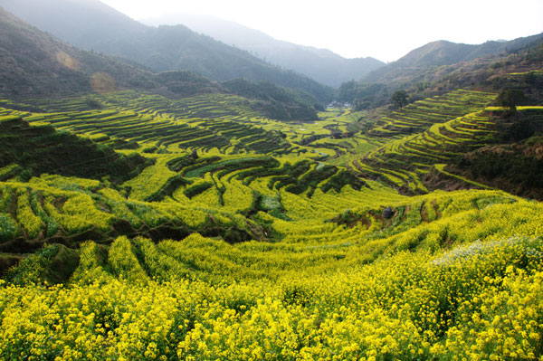 篁岭