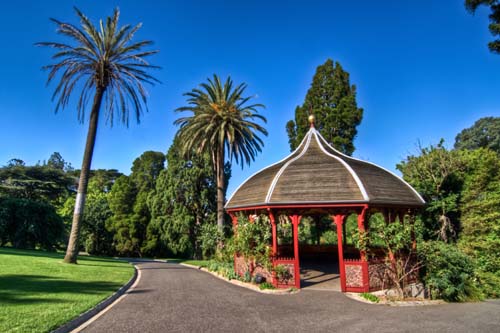悉尼植物园