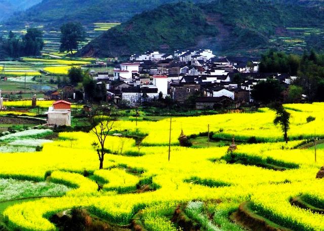 婺源篁岭-三清山-瑶里古镇-景德镇双卧五日游全程导游陪同，寻梦婺源，踏春赏花，世界自然遗产地，体验绝美的自然风光